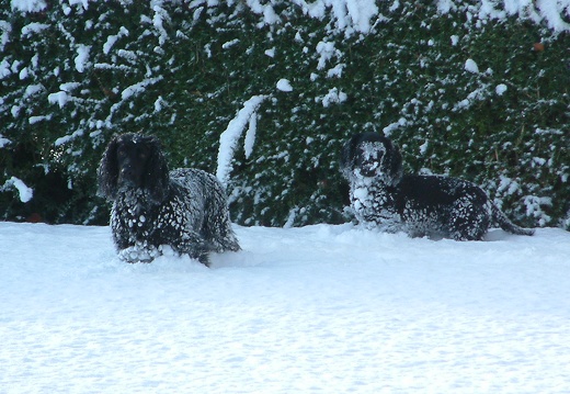 Chloe-and-Ella-Dec-2010
