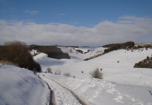 Gurston-Valley